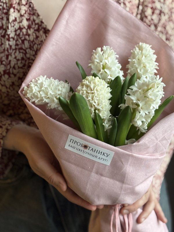 Сверток гиацинтов в льняной ткани