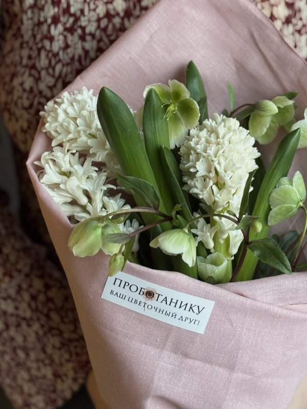 Сверток гиацинты и хелеборусом в льняной ткани