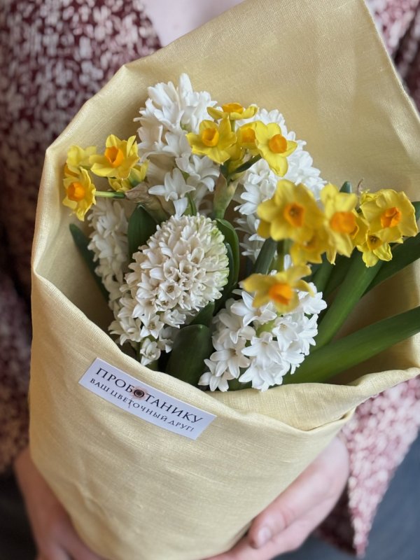 Сверток гиацинты и нарциссы в льняной ткани