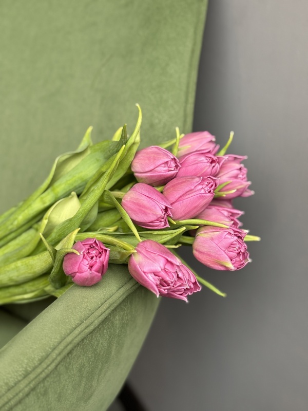 Пионовидные тюльпаны Дабл Прайс, розовые