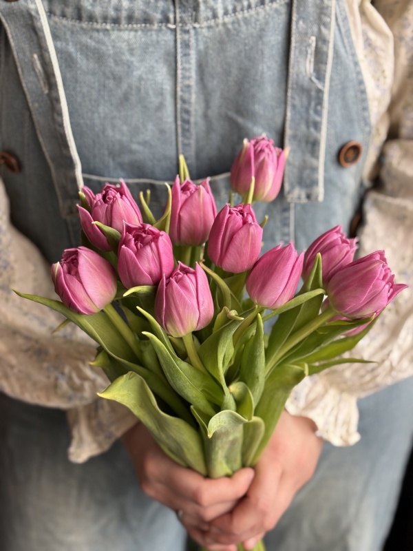 Пионовидные тюльпаны Дабл Прайс, розовые