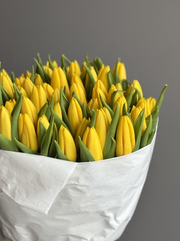 Тюльпаны, желтые