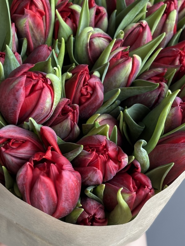 Тюльпаны пионовидные красные