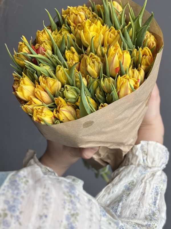 Тюльпаны пионовидные махровые, Netherlands