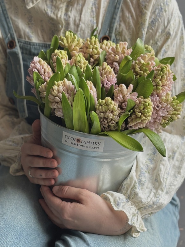 Ведерко гиацинтов