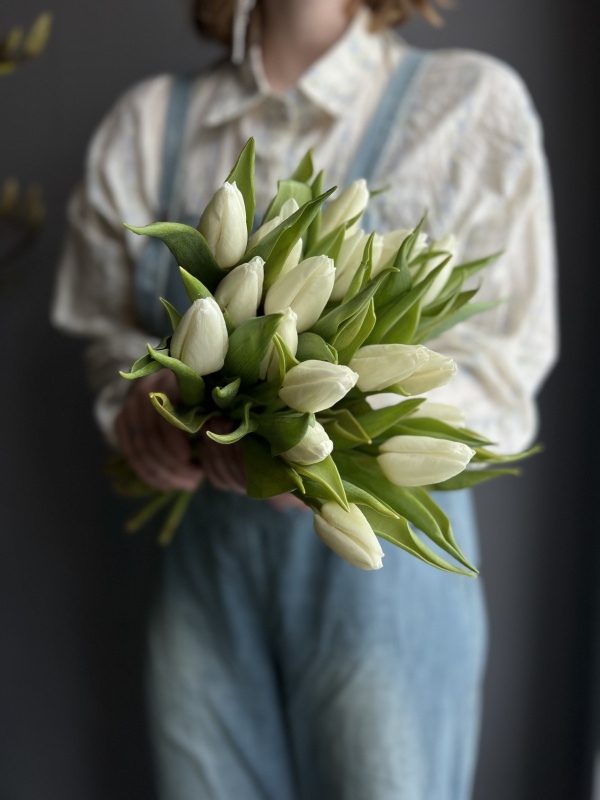 Тюльпаны белые, Голландия