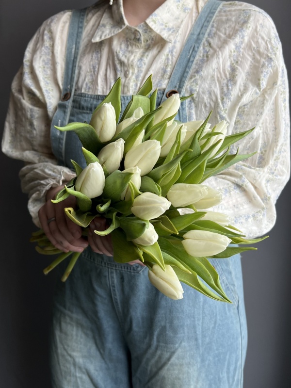 Тюльпаны белые, Голландия