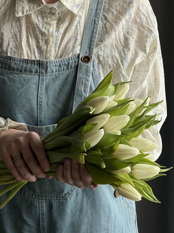 Тюльпаны белые, Голландия