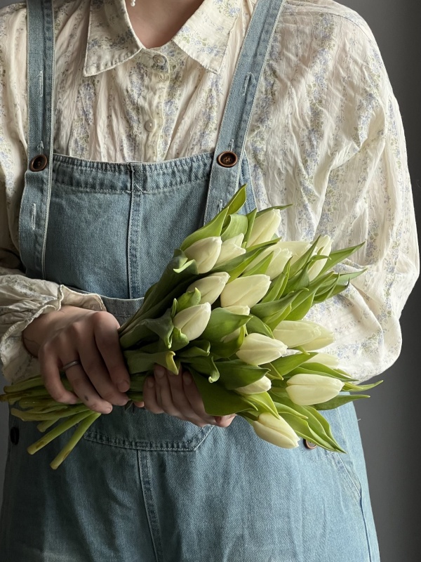 Тюльпаны белые, Голландия