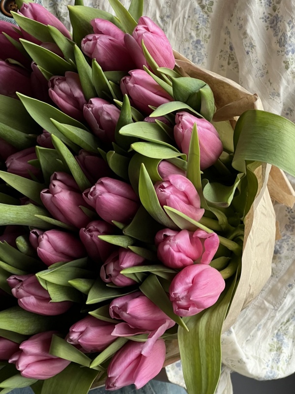 Тюльпаны, розовые