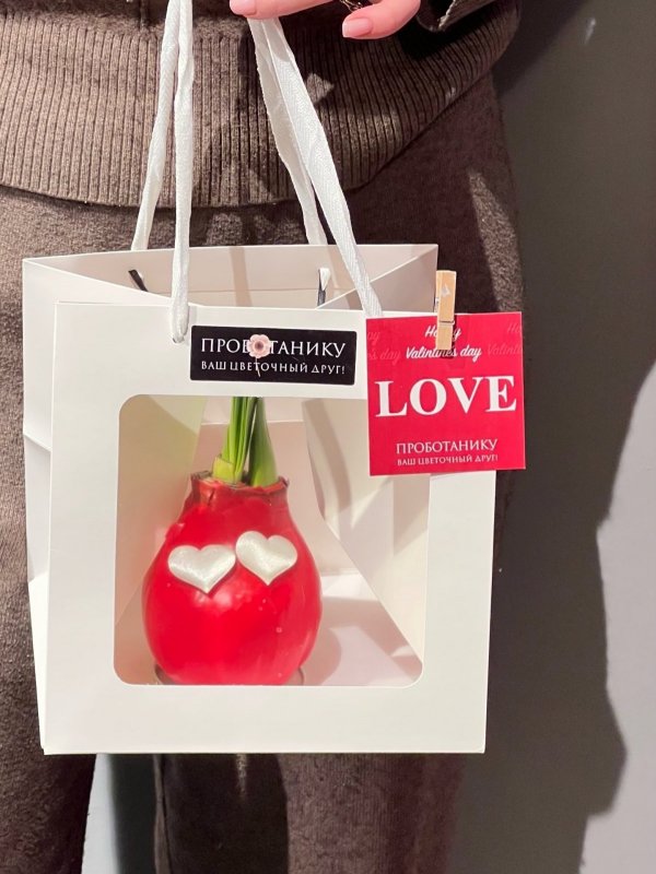 Луковица-валентинка в воске подарочном пакете