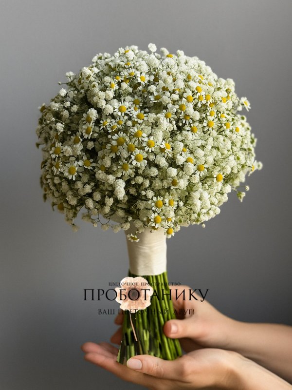 Букет невесты с ромашками и гипсофилой