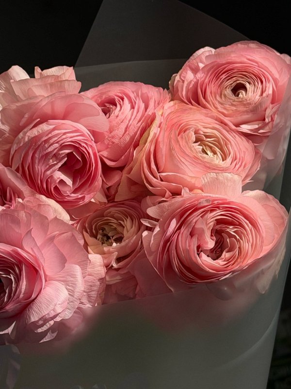 Букет из розовых ранункулюсов