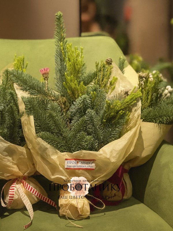 Хвойные охапки