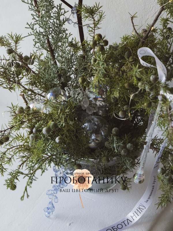 Композиция 