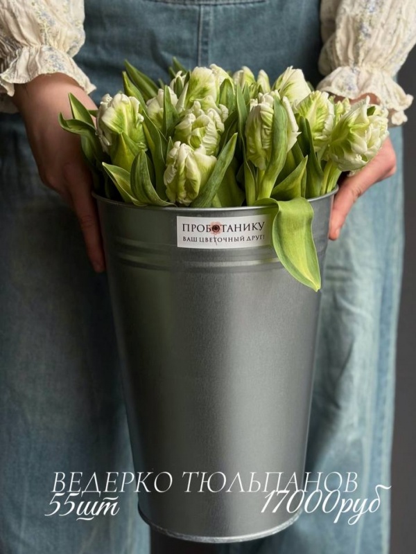 Ведерко зеленых пионовидных тюльпанов