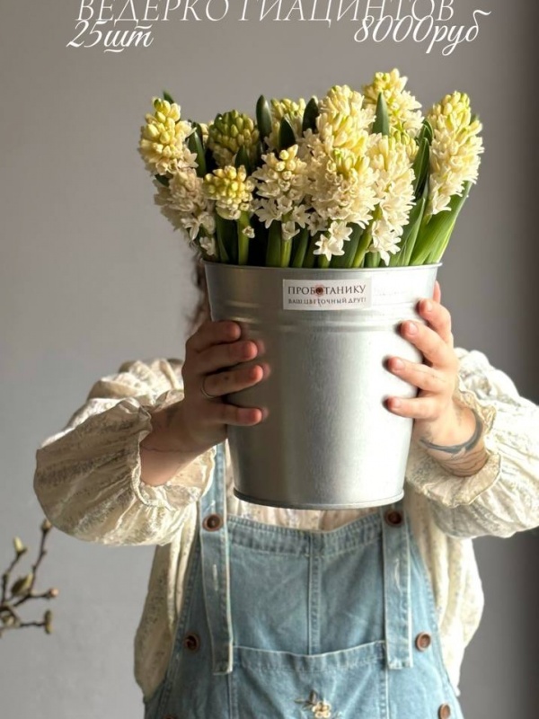 Ведерко гиацинтов