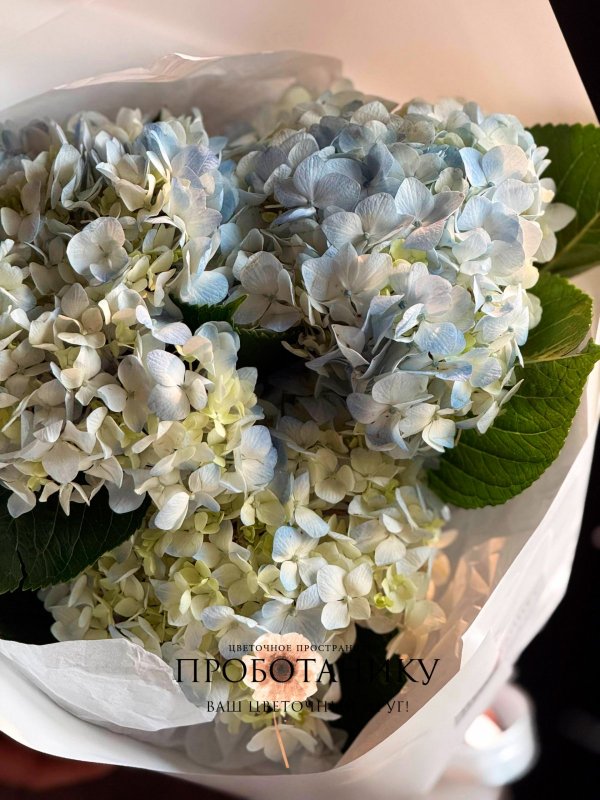 Букет с миксом из гортензий