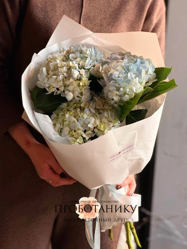 Букет с миксом из гортензий