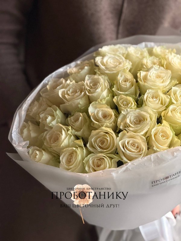 Букет из 33 белых роз