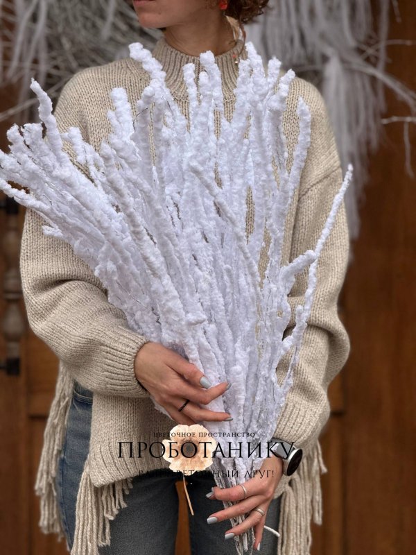 Ветка березы заснеженная