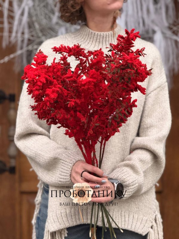 Рускус красный заснеженный