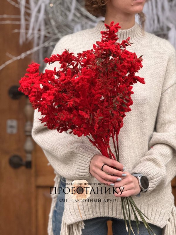 Рускус красный заснеженный