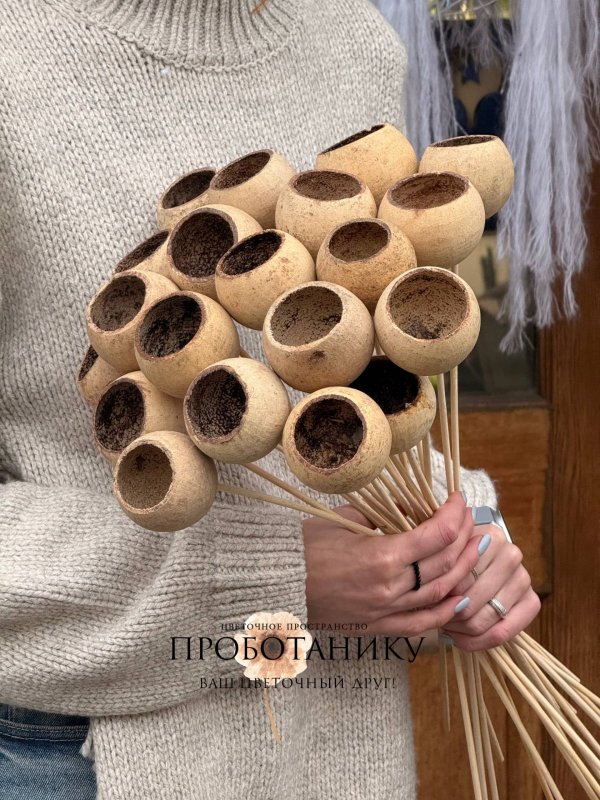 Бел кап, натуральный