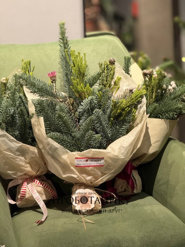 Хвойные охапки