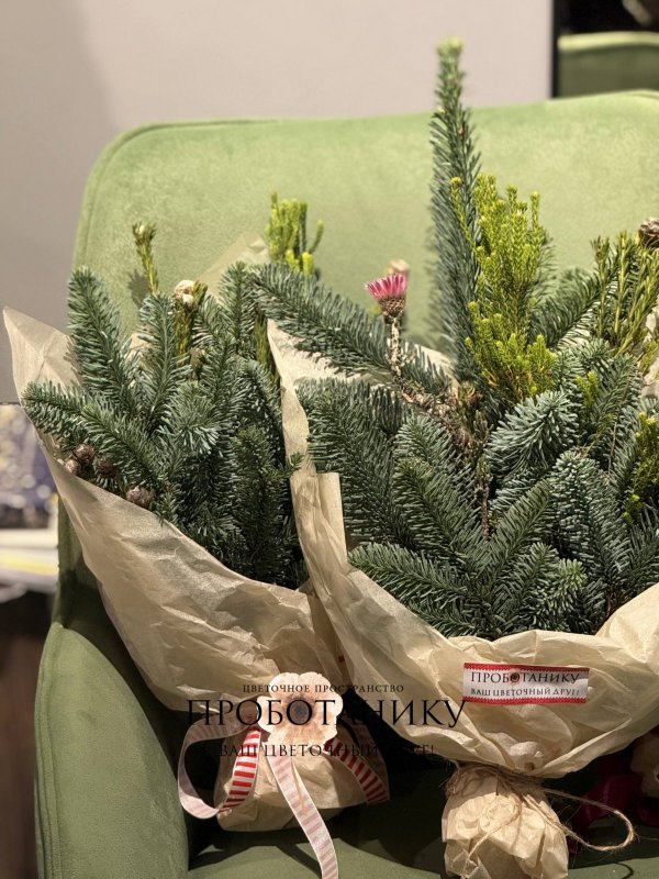 Хвойные охапки