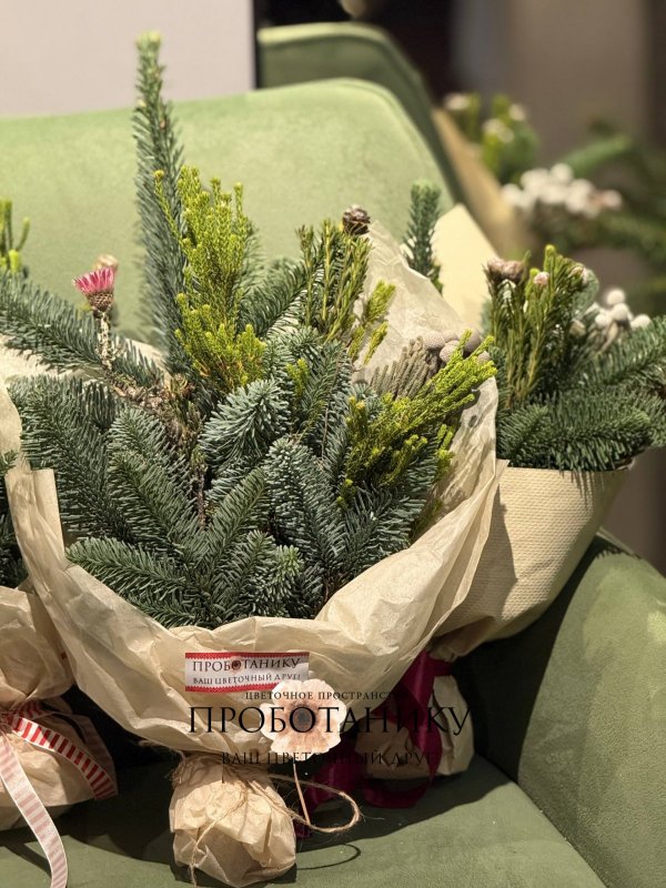 Хвойные охапки