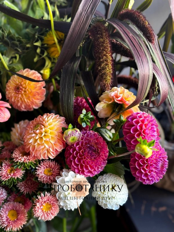 Георгины микс, ферма