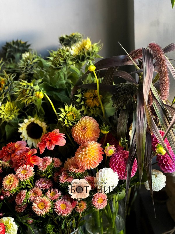 Георгины микс, ферма